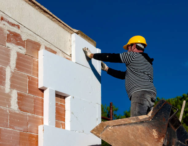 Best Residential Insulation Services  in Tekamah, NE