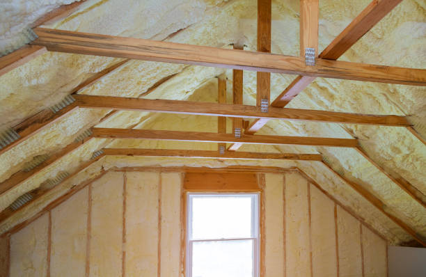 Best Cellulose Insulation  in Tekamah, NE