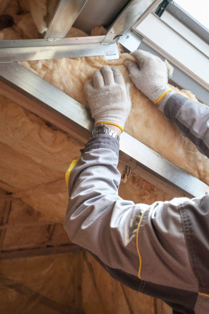 Best Wall Insulation Contractor  in Tekamah, NE