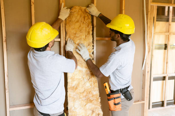 Best Wall Insulation Contractor  in Tekamah, NE
