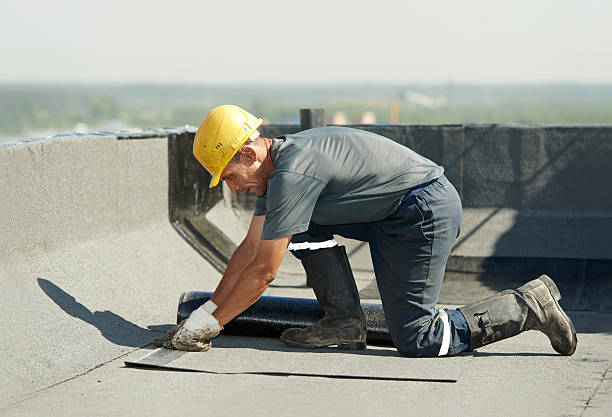 Best Attic Insulation Installation  in Tekamah, NE