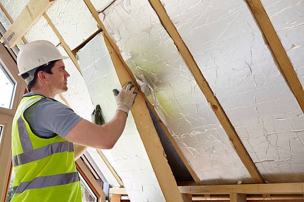 Best Professional Insulation Contractor  in Tekamah, NE