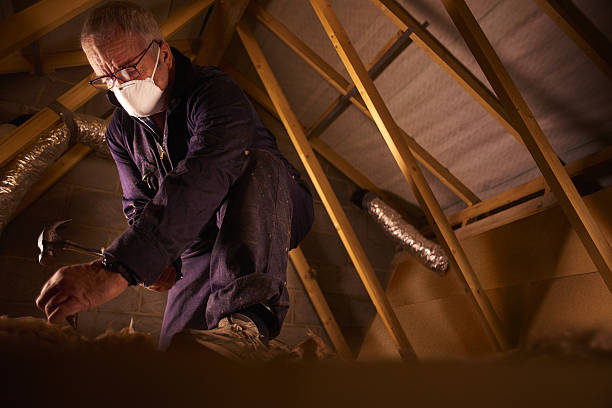 Best Insulation Contractor Near Me  in Tekamah, NE
