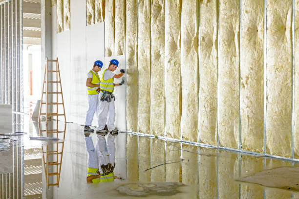 Attic Insulation Near Me in Tekamah, NE